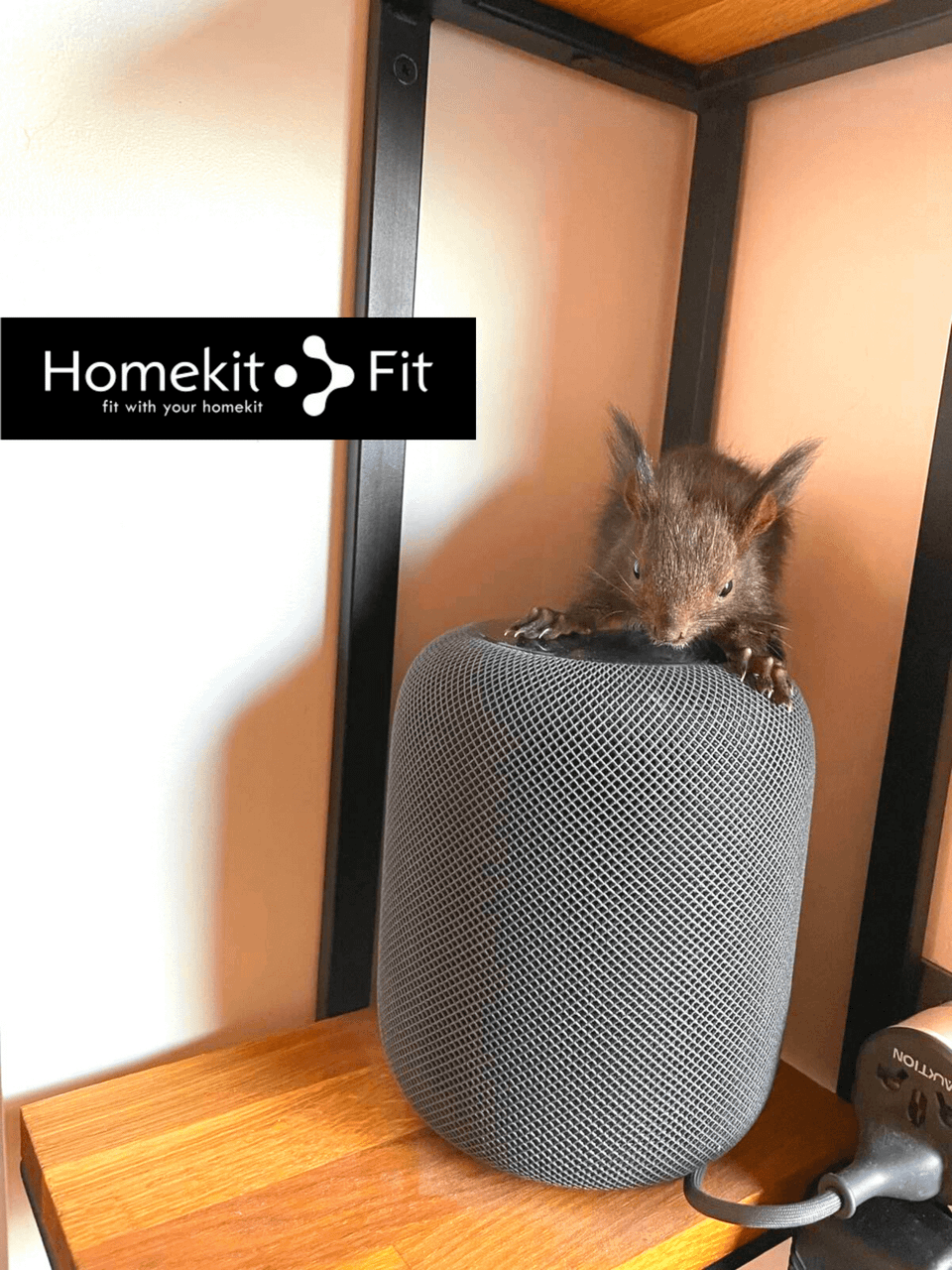 7 причини да обичаме Homepod Mini