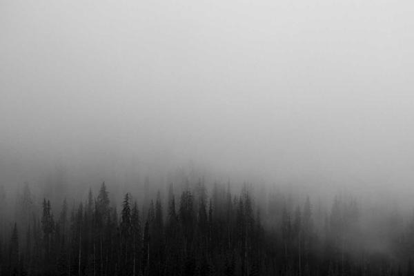 Локално съхранение